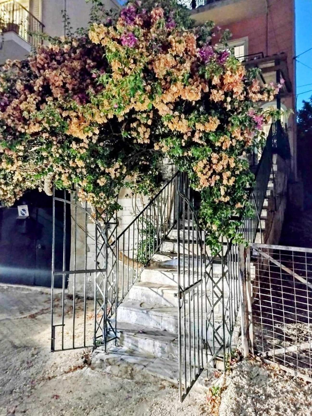 Corfu Pelekas Apartment 2 Εξωτερικό φωτογραφία